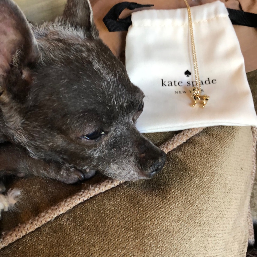 NWT Kate Spade puppy necklace.